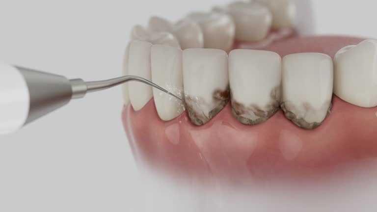 Reliable Dental contractor in Elk Ridge, UT by Dentist Open Now